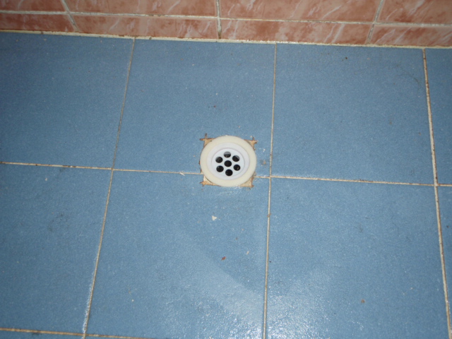  ̹