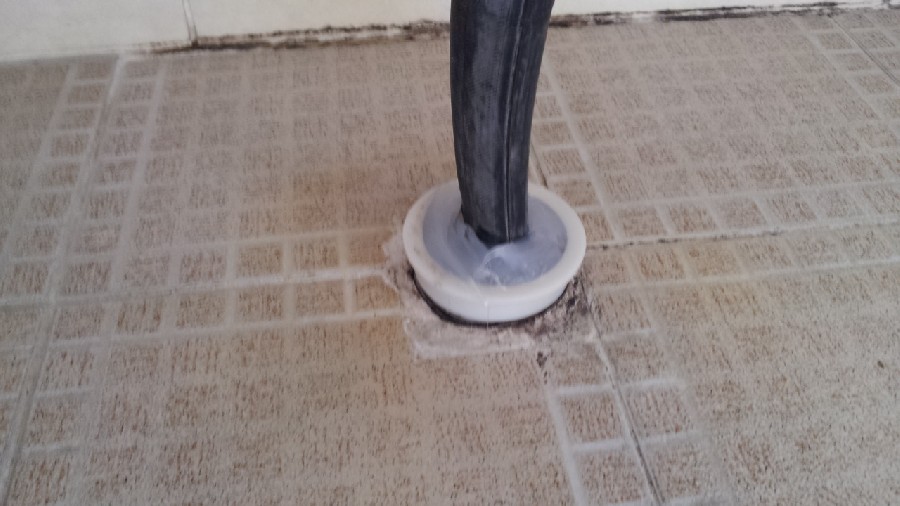  ̹