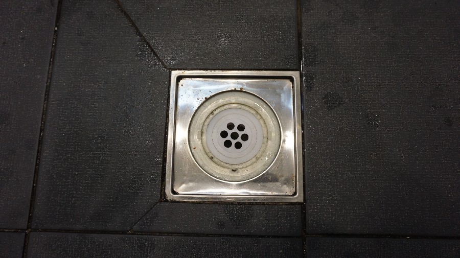  ̹