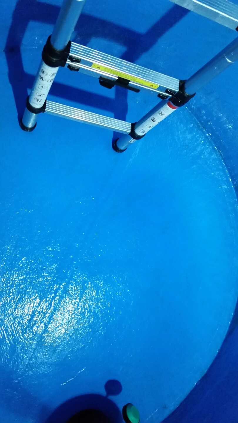  ̹