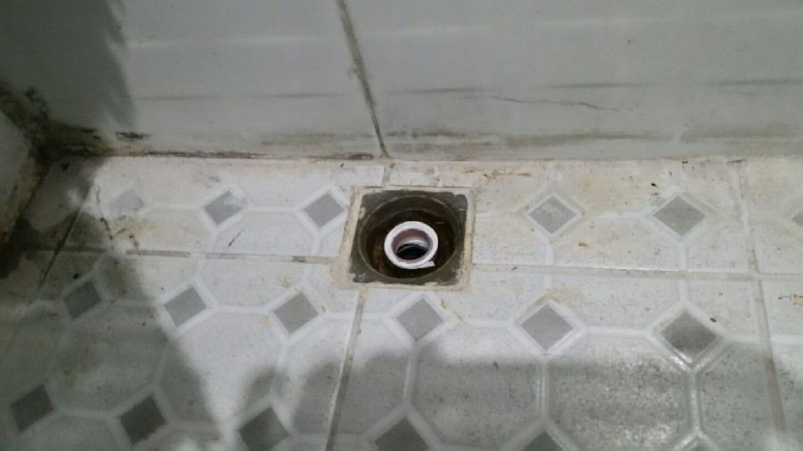  ̹