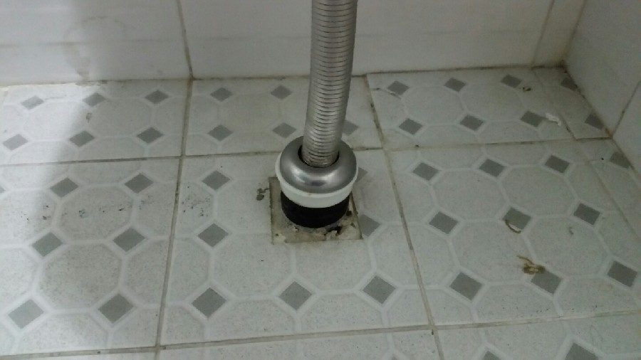  ̹