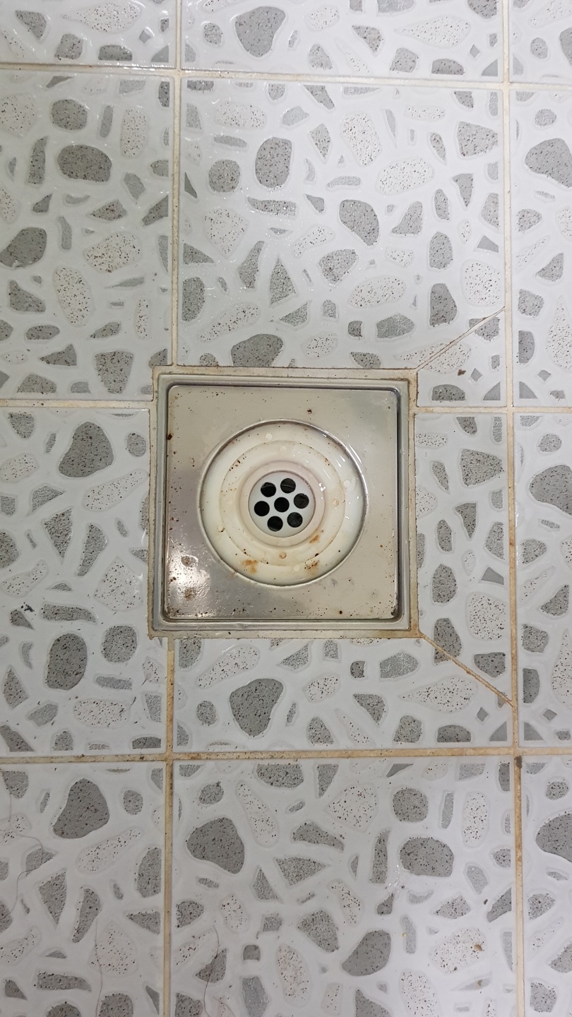  ̹